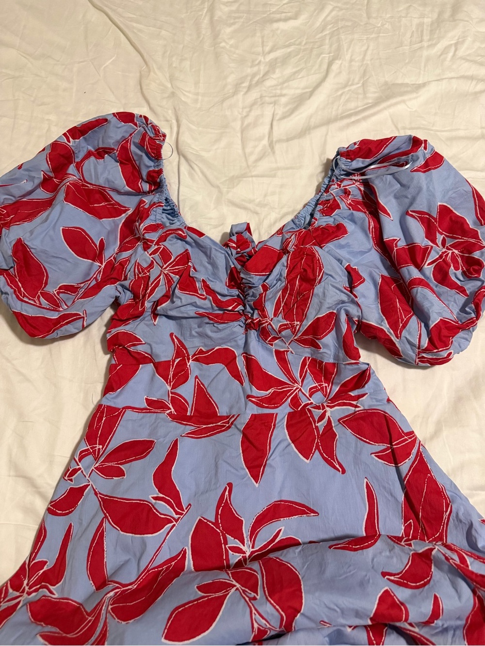 Vici Periwinkle Maxi Dress with Red Floral Print